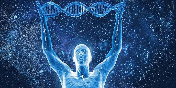Basic DNA