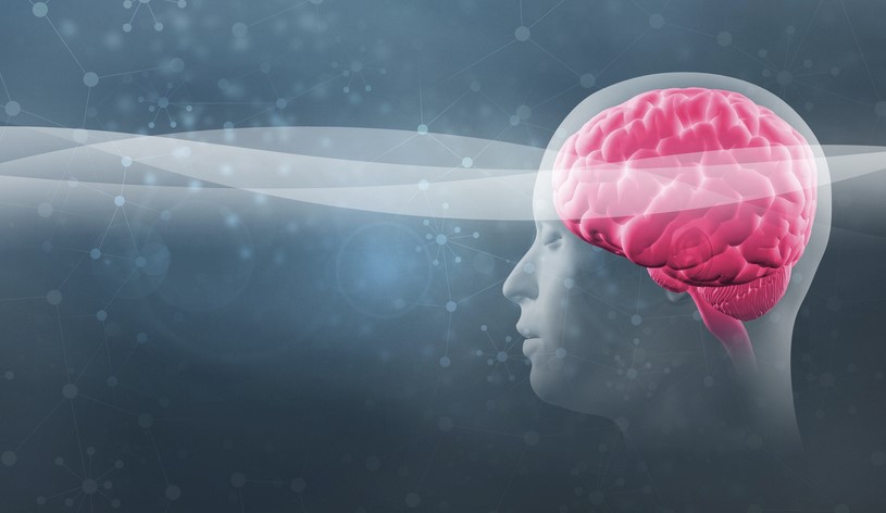 ThetaHealing Uygulayılıcığı