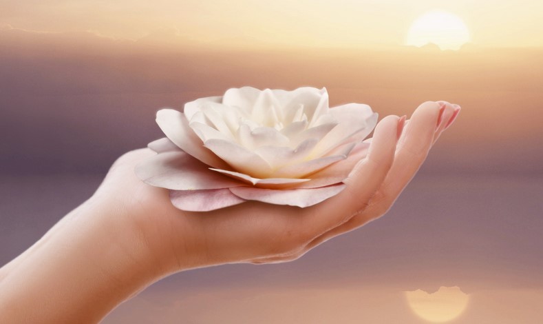 Meditasyon nedir ?