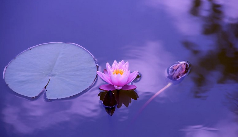 Meditasyon